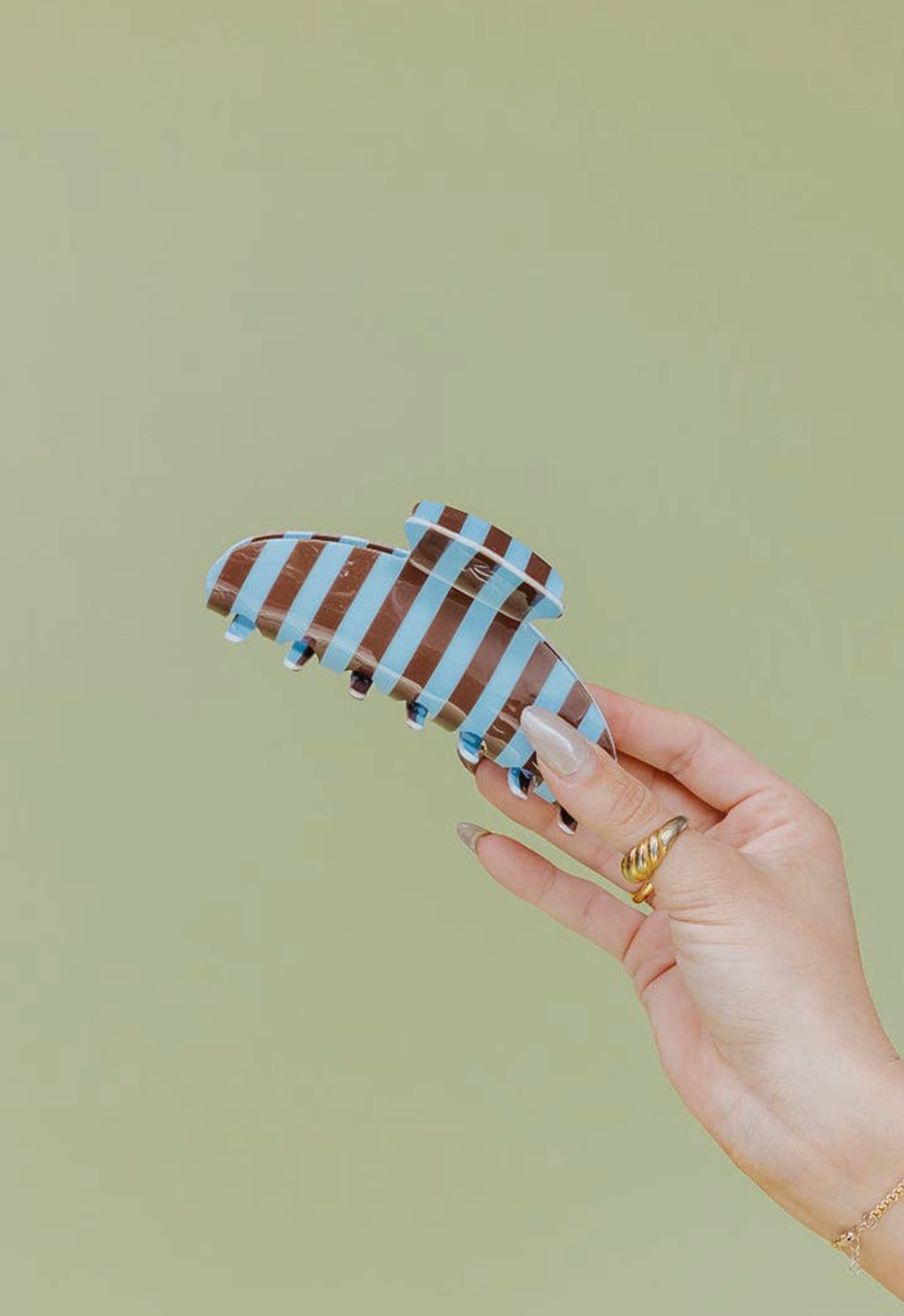 blue and brown stripped claw clip